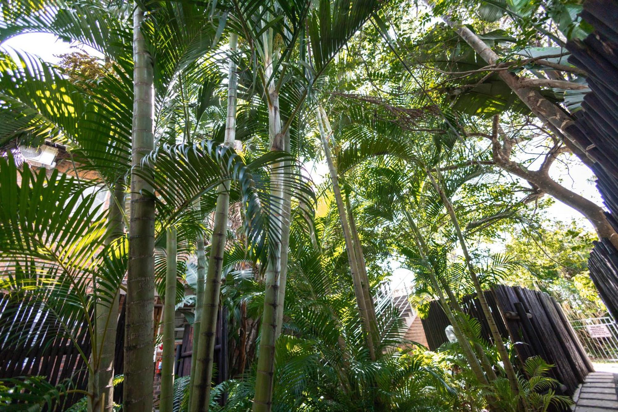 Little Eden St Lucia Apartment Bagian luar foto